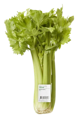 Biologisch PLUS Bleekselderij