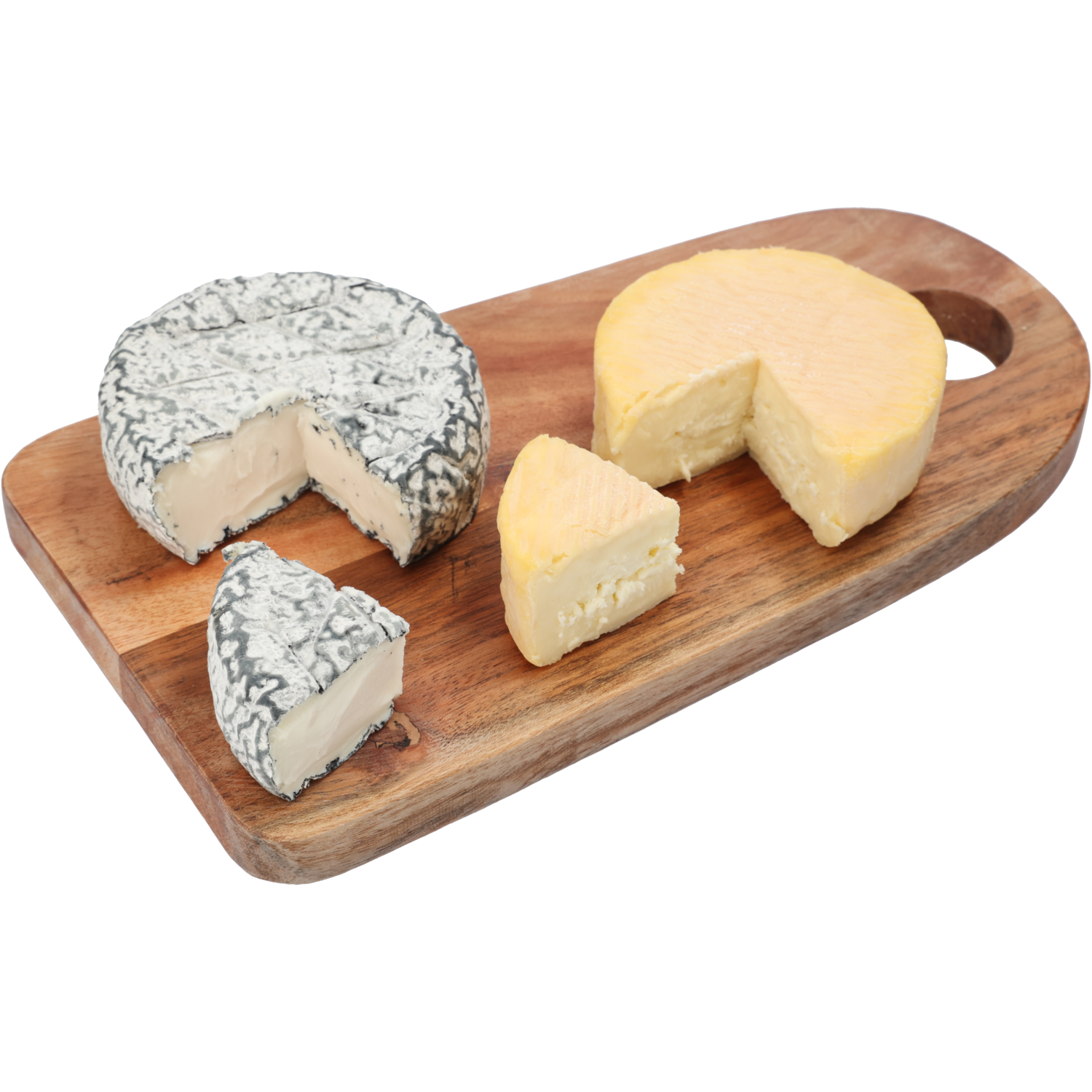 BITS & BITES Munster