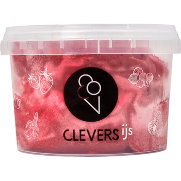Clevers IJs Rood Fruit 500ML