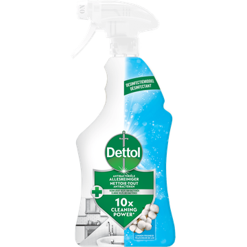 Dettol Spray Katoen 750 ML
