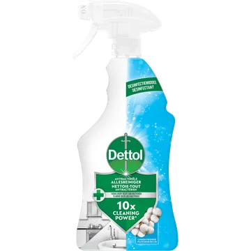 Dettol Spray Katoen 750 ML