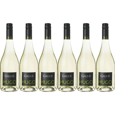 Galilei Hugo 6 flessen