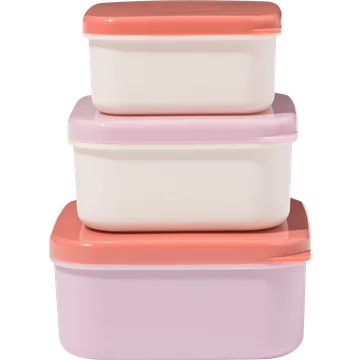 HEMA Set van Snackboxjes 3 Stuks