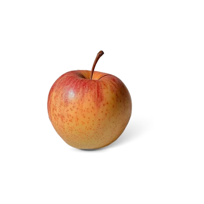 Hollandse Goudreinet