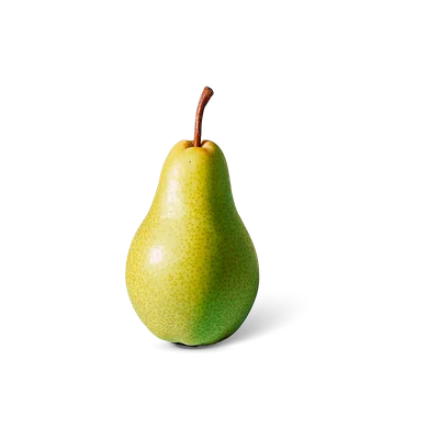 Hollandse Conference peren