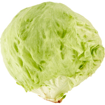 Jumbo IJsbergsla 1 Stuk