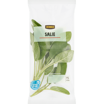 Jumbo Salie 15 g