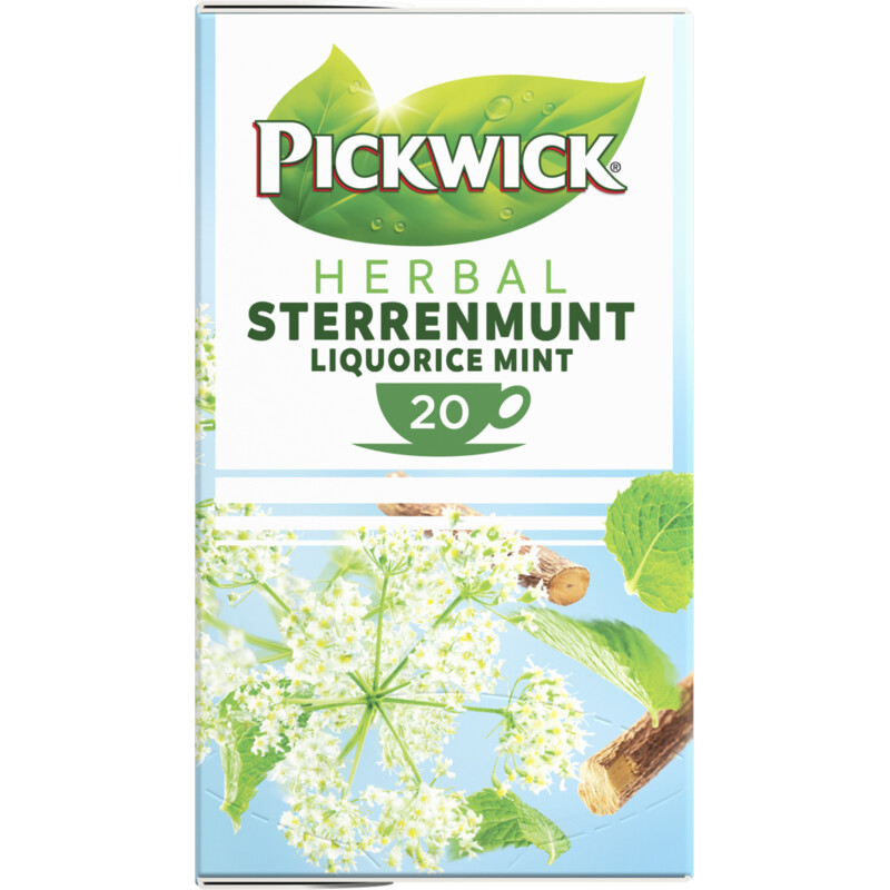 Pickwick Sterrenmunt kruidenthee