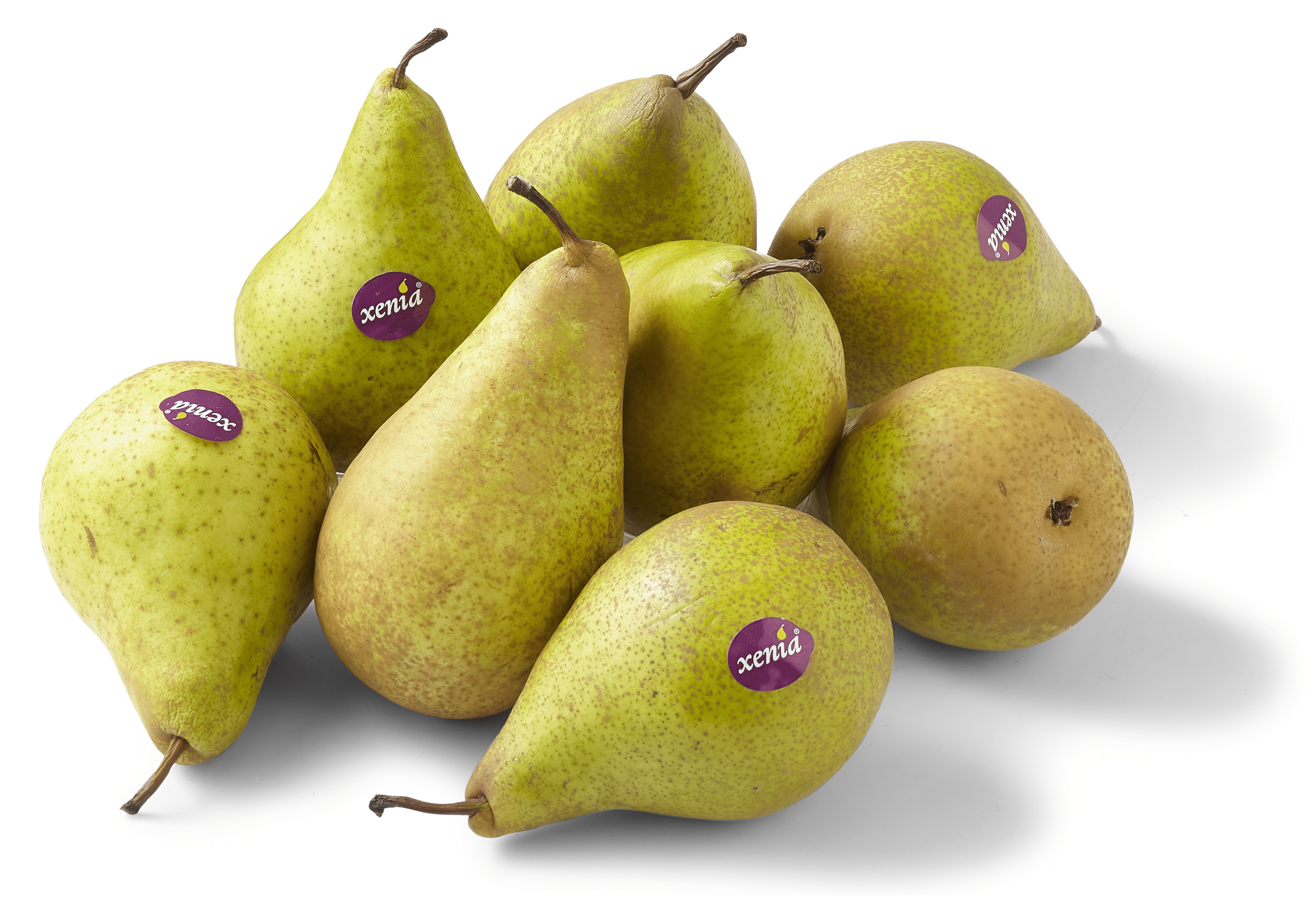 PLUS Handperen Xenia 1000 gram