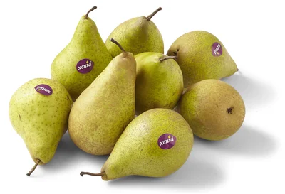 PLUS Handperen Xenia 1000 gram