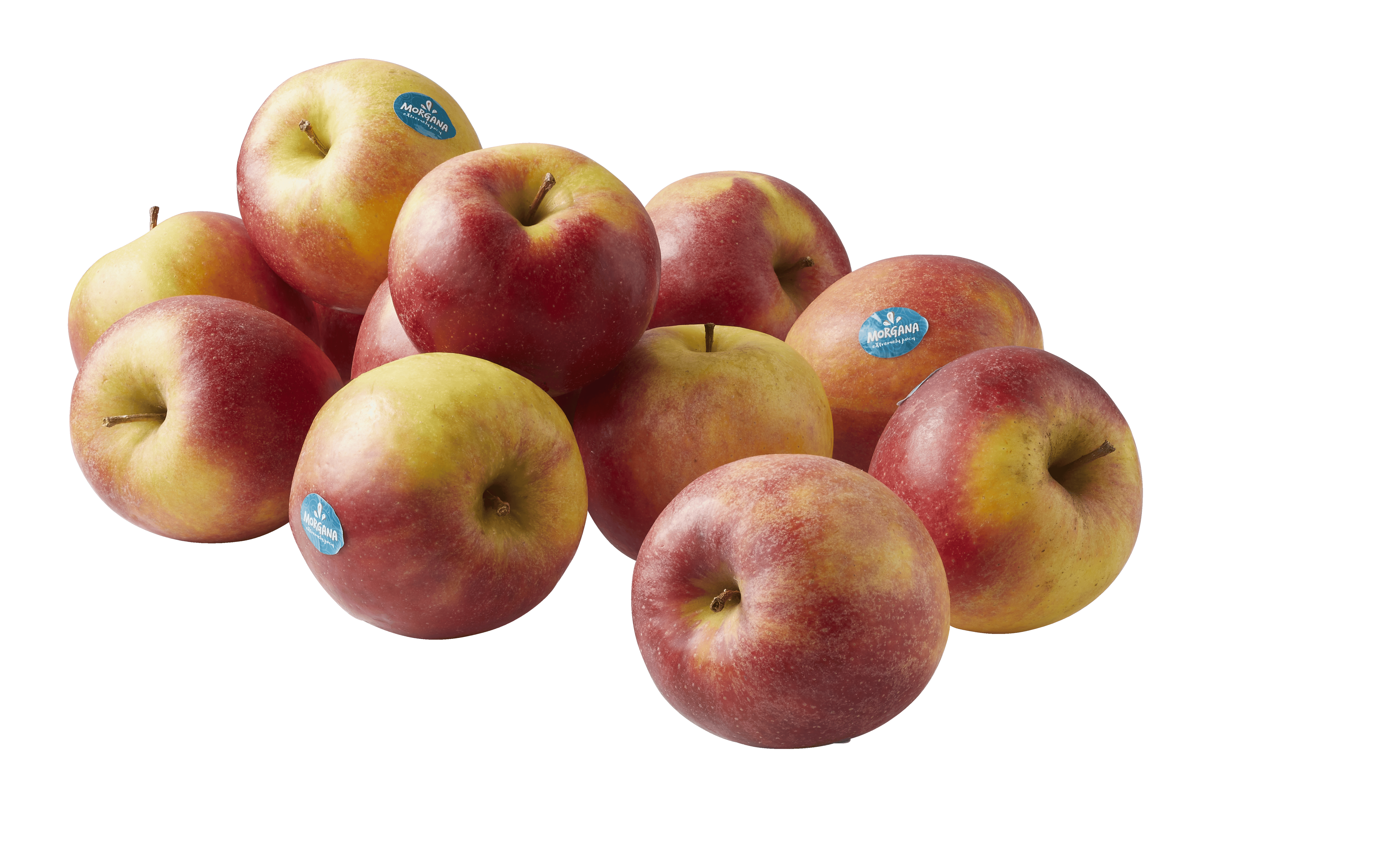 PLUS Appels Morgana los 1000 gram