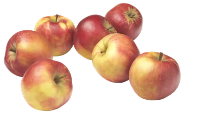 PLUS Handappels Elstar 1000 gram