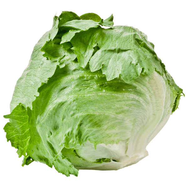 PLUS IJsbergsla krop Stuk 1 st