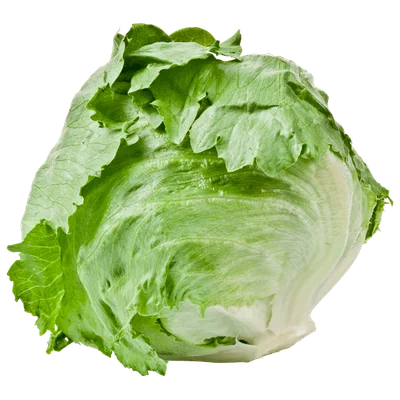 PLUS IJsbergsla krop Stuk 1 st