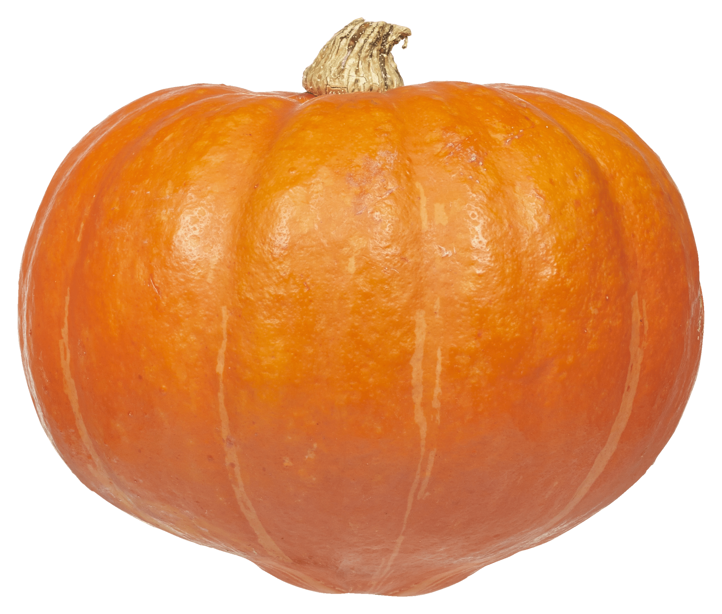 PLUS Pompoen Hokkaido