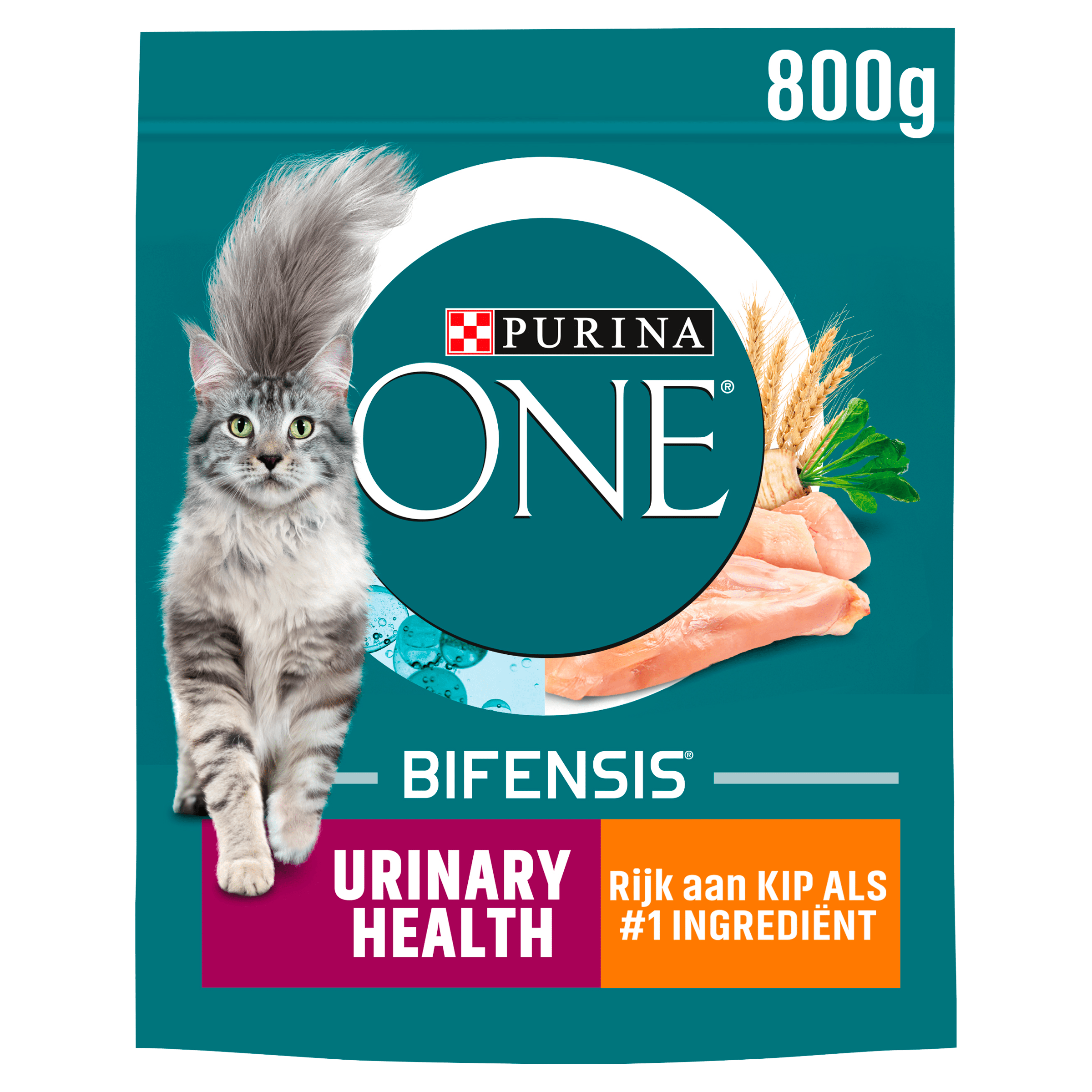 Purina One Urinary Health