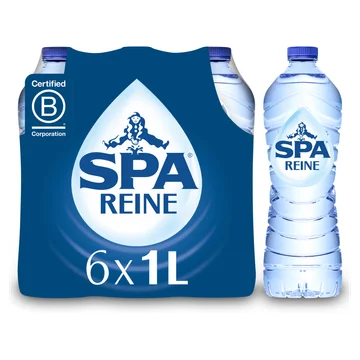 SPA REINE Natuurlijk Mineraalwater 6x 1L