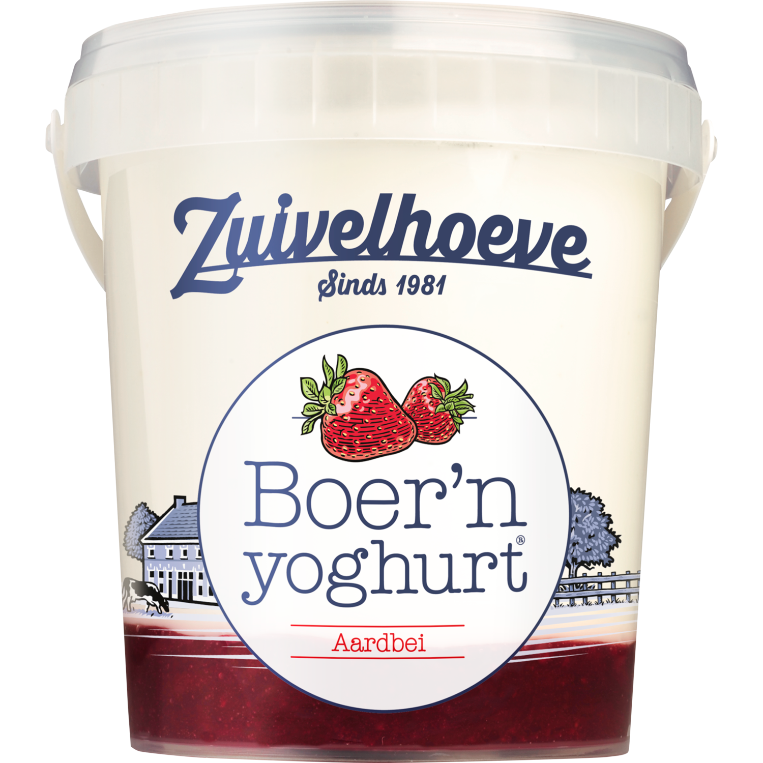 Zuivelhoeve Boern yoghurt aardbei
