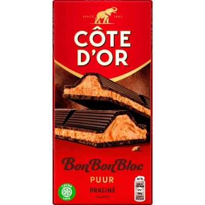 Côte d'Or Bonbonbloc praline puur