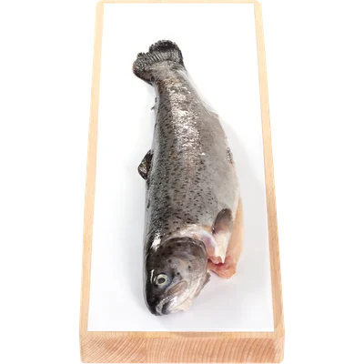 Hele forel