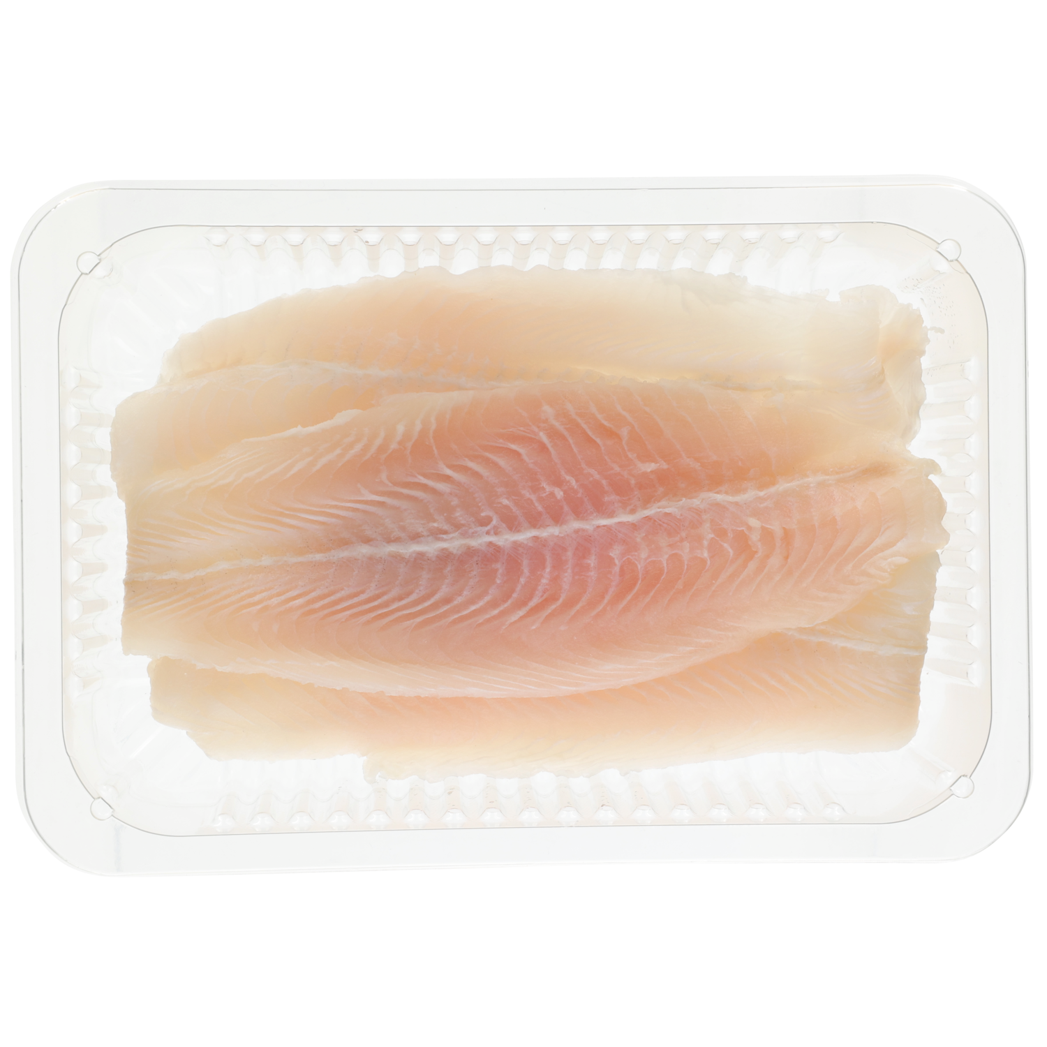 SEA FRESH Pangasiusfilet naturel