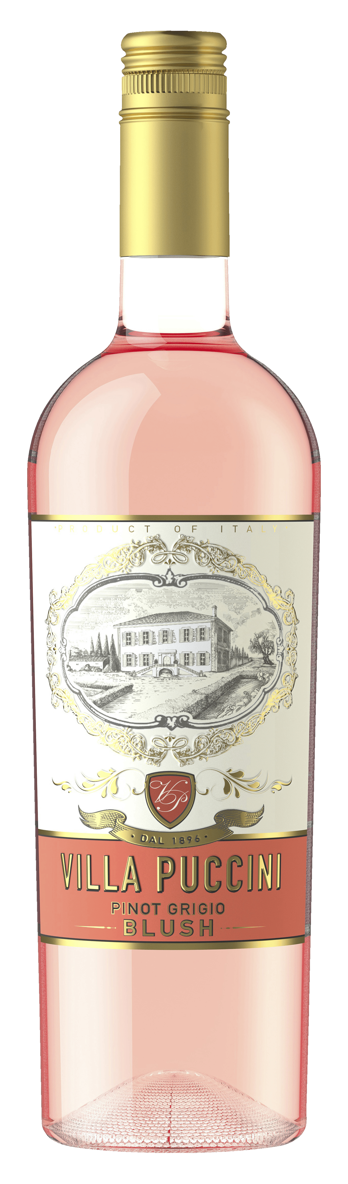 Villa Puccini Pinot Grigio Blush Rosé