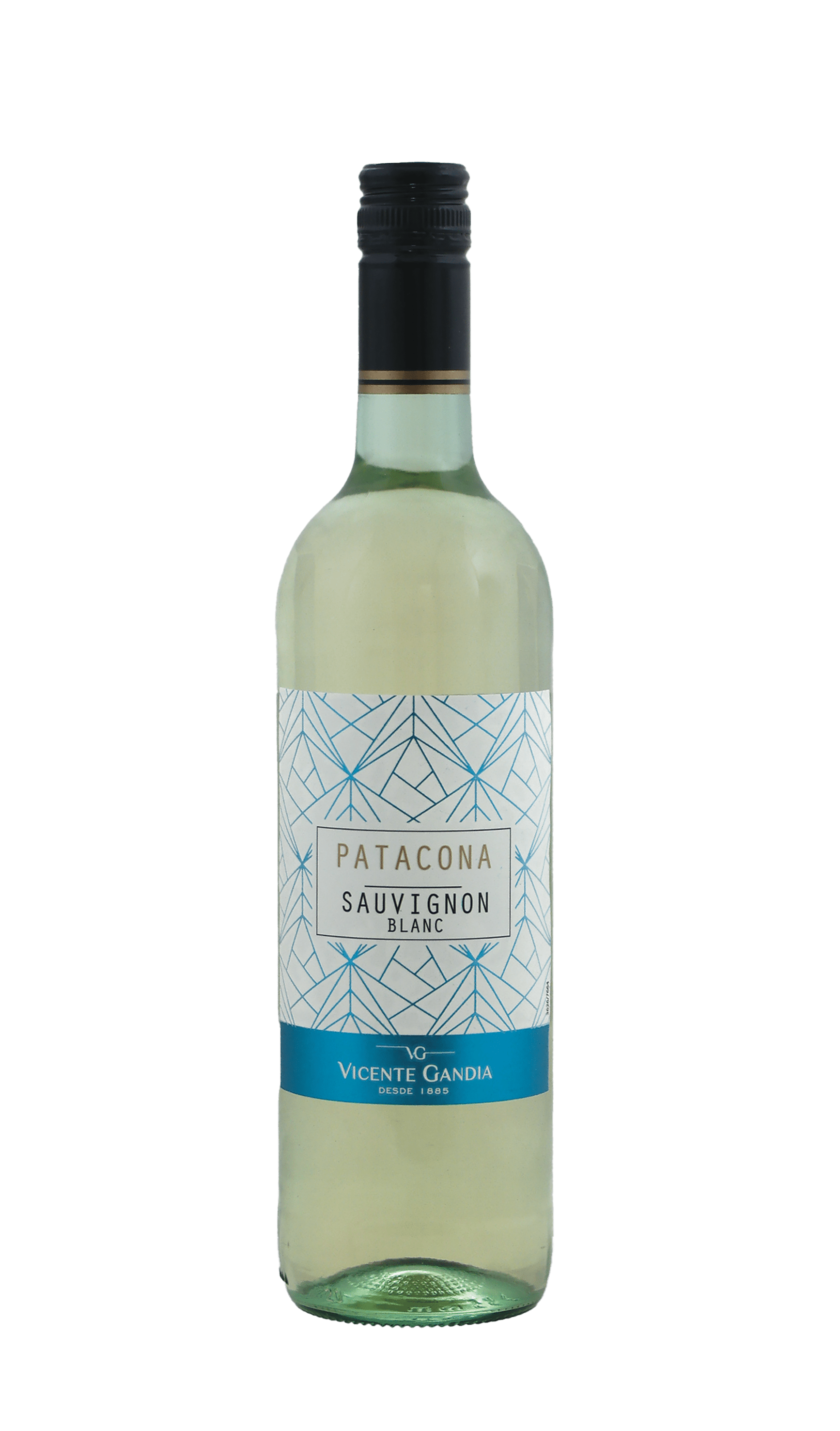 Vicente Gandia Patacona Sauvignon Blanc