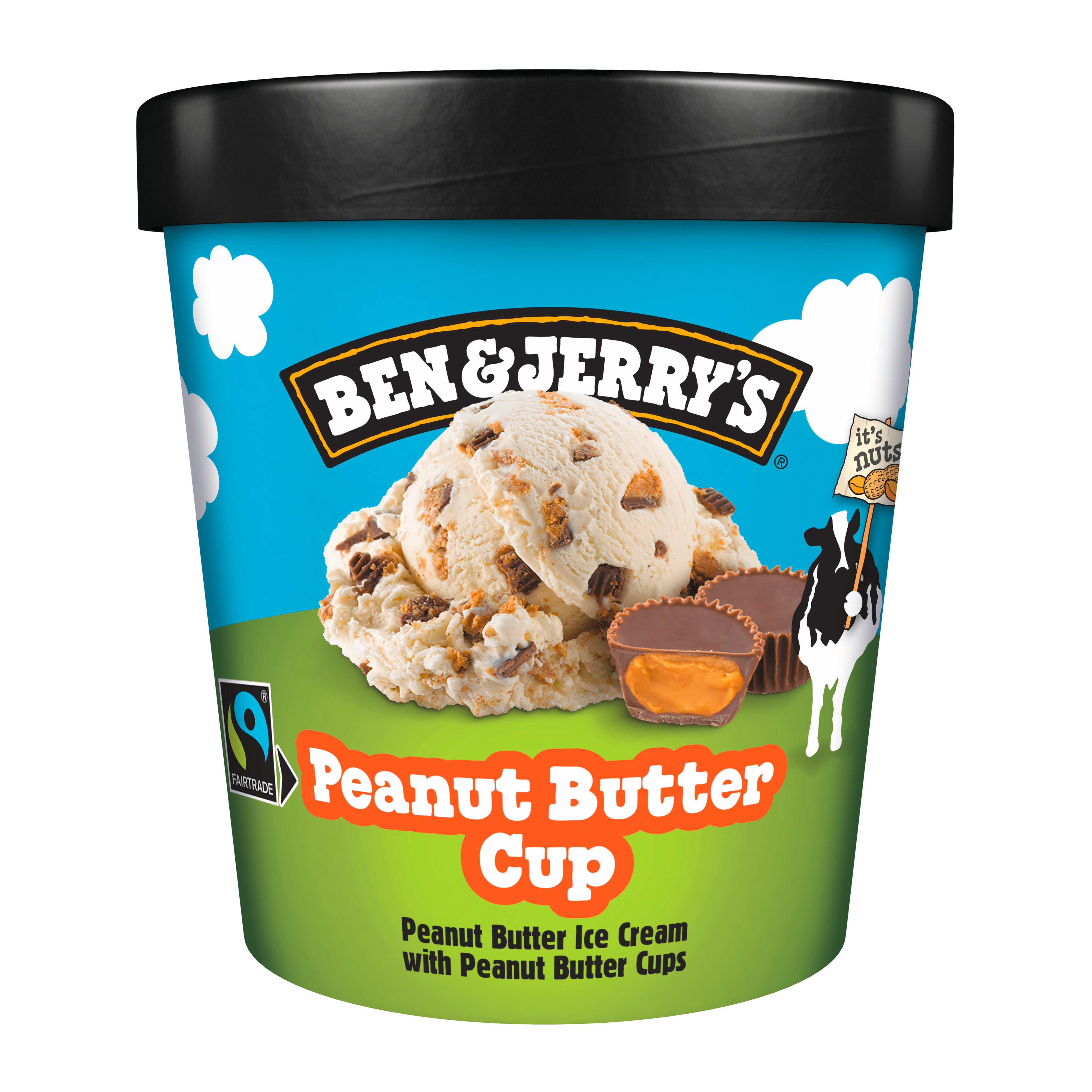 Ben&Jerry's B&J?s Peanut Butter Cup