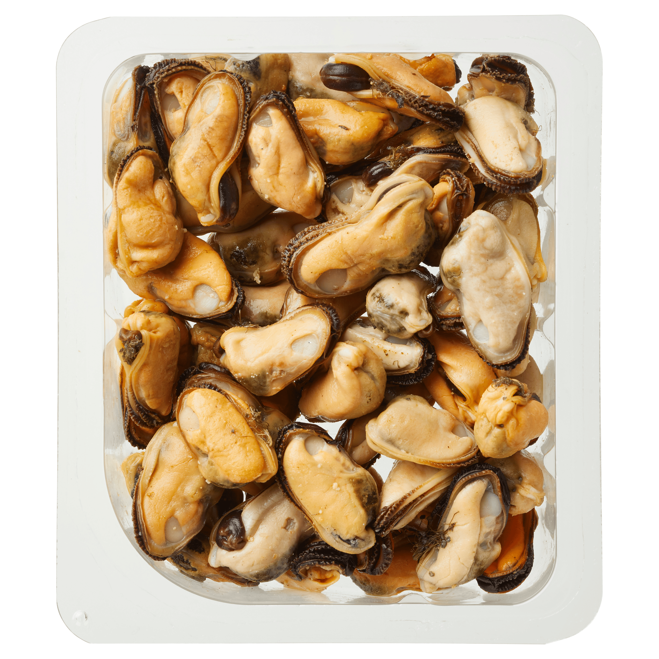 PLUS Gekookte mosselen