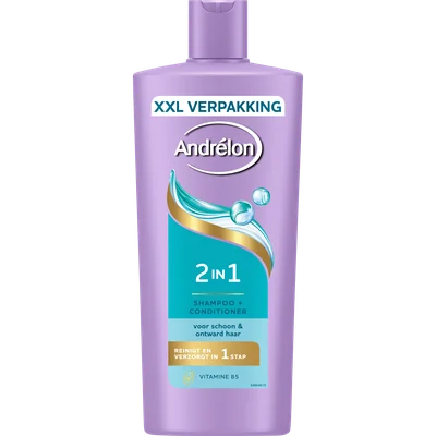 Andrélon Shampoo 2in1
