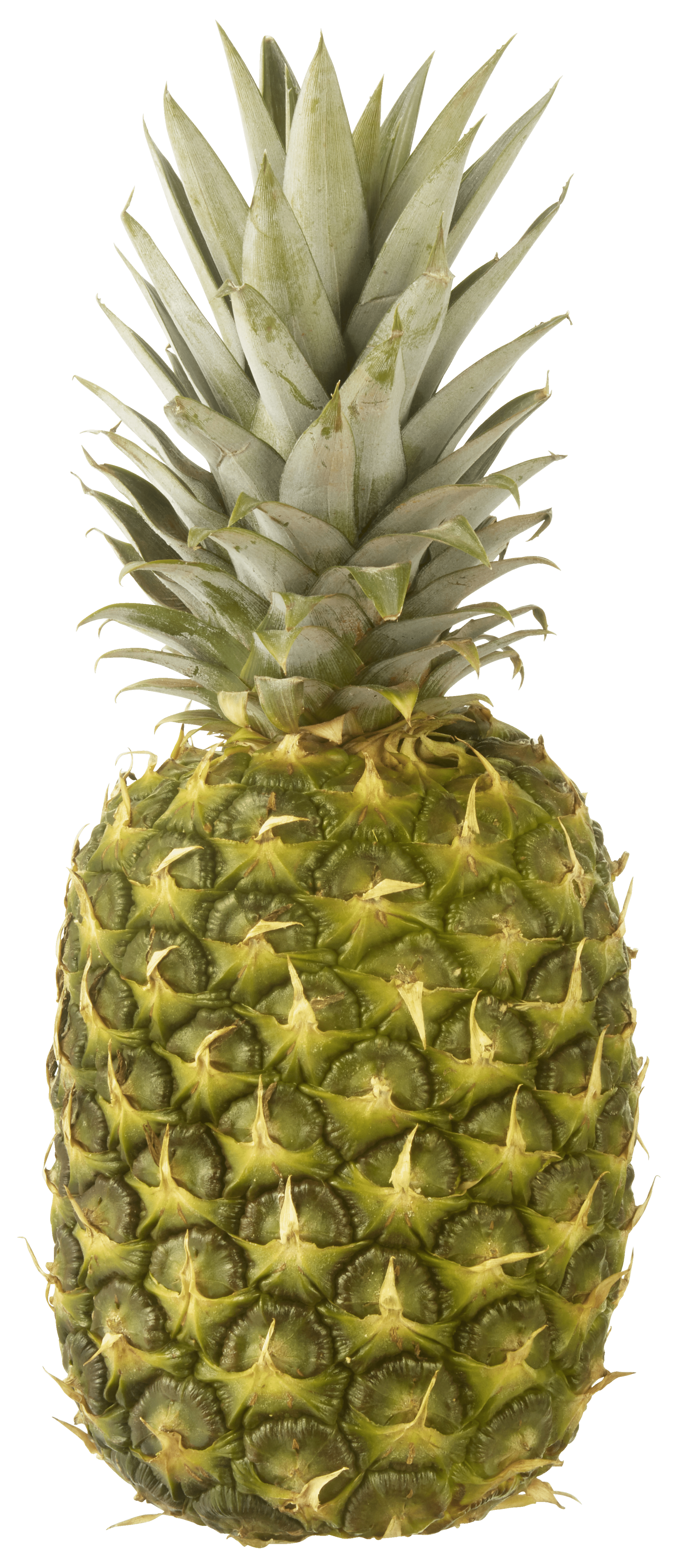 Neutraal Ananas