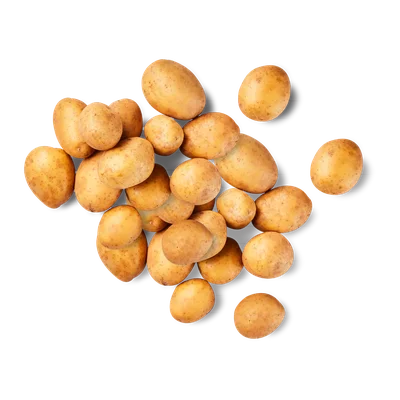 Extra grote kruimige aardappelen