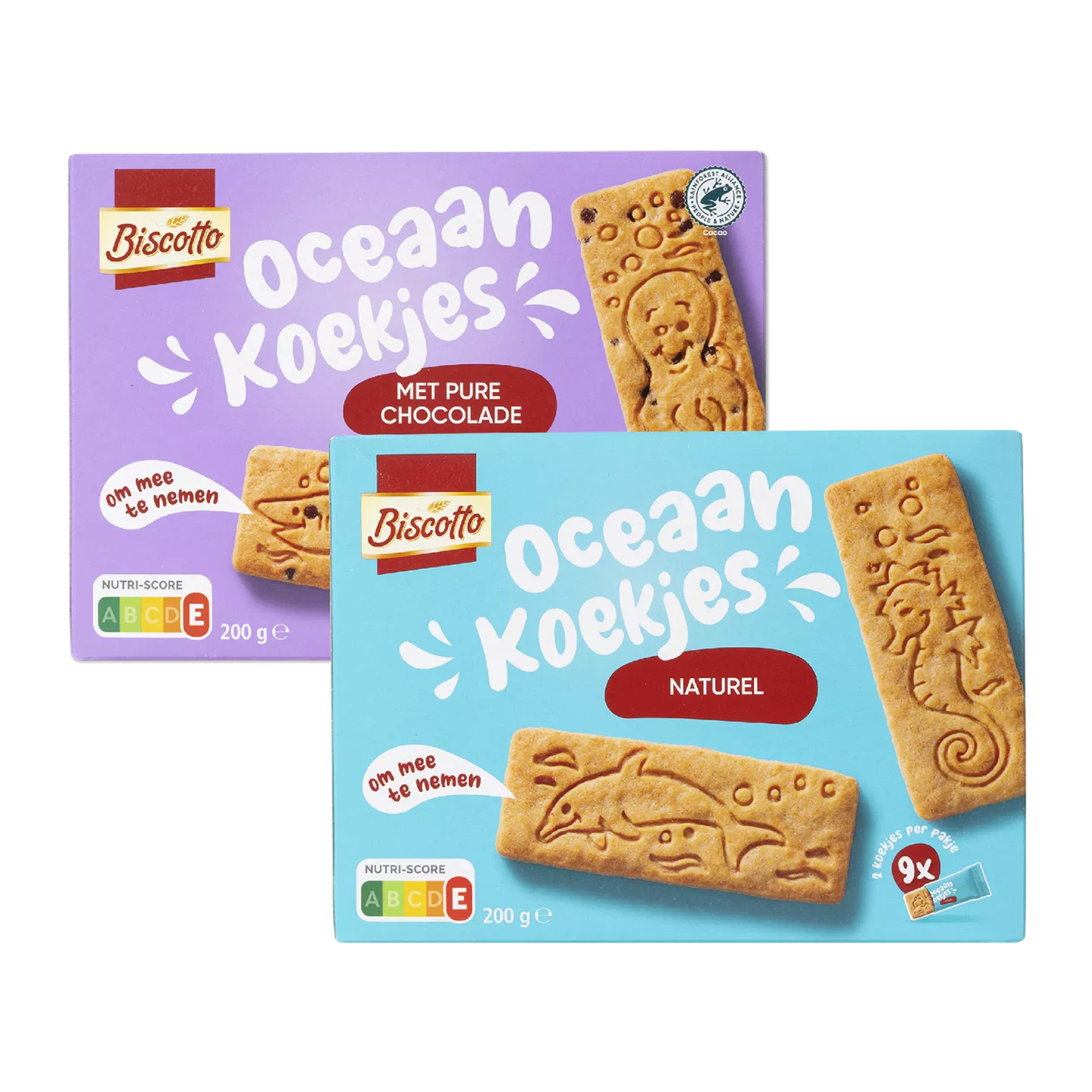 Biscotto Oceaan koekjes