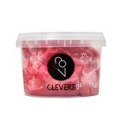 Clevers Ijs Clevers IJs ijs roodfruit