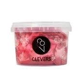 Clevers Ijs Clevers IJs ijs roodfruit