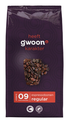 G'Woon g'woon ijsthee regular