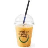 Foodclub FoodClub smoothie perzik passievrucht