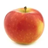 Agf Kanzi appel