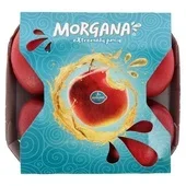 Agf Morgana appel