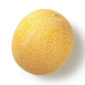 Agf galia meloen galia meloen