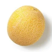 Agf galia meloen galia meloen
