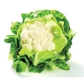 Agf bloemkool