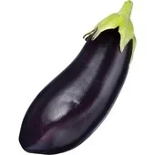 Agf aubergine