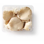 Agf paddenstoelen oesterzwam