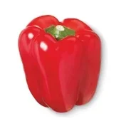 Agf paprika rood
