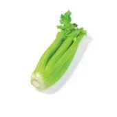 Agf bleekselderij