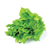 Agf Andijvie verpakt