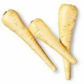 Mijnboer Mijnboer Bio pastinaak