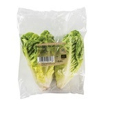 Agf bio little gem sla EKO