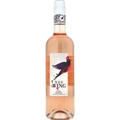 Wild Wing Wild Wing Rose